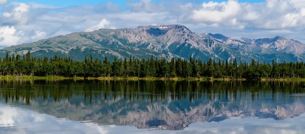 Alaska landscape